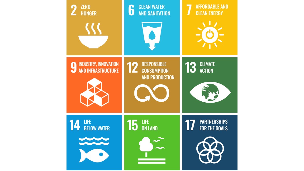 Circular Approach UN Goals - see below for accessible version