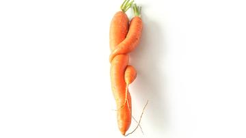 2 carottes