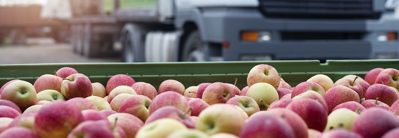Conteneur rempli de pommes avec un camion en arrière-plan